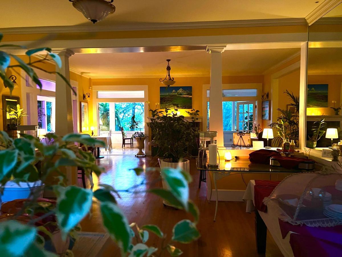 Hawi Guest House Экстерьер фото
