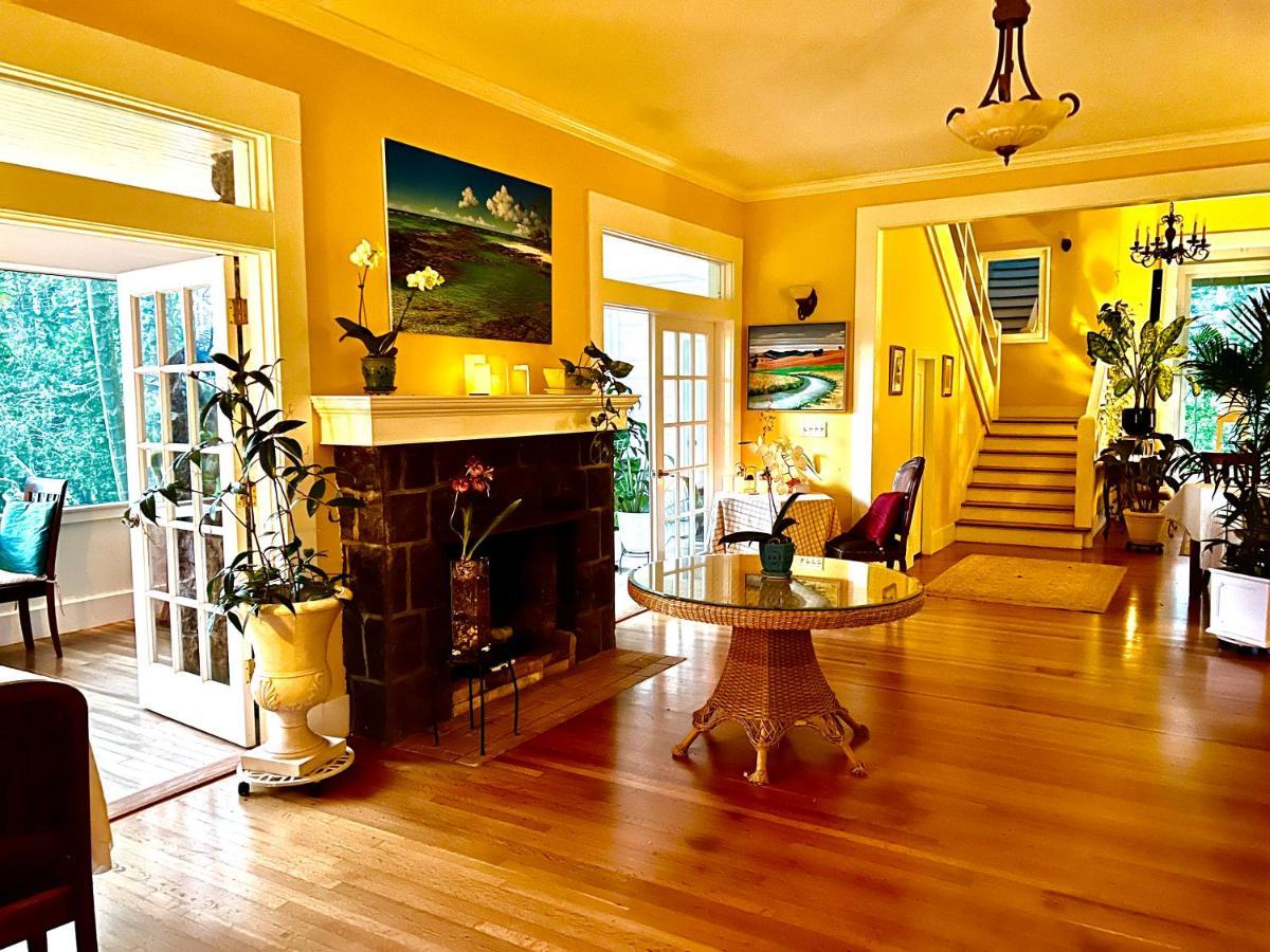 Hawi Guest House Экстерьер фото