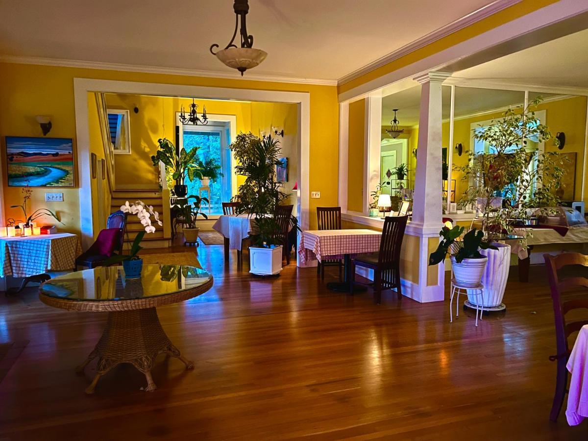 Hawi Guest House Экстерьер фото